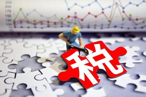 以税收赋能市场主体 以服务激活经济脉动——新时代社会经济咨询服务的实践路径